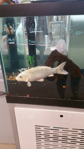 Pet Supply Store «Petco Animal Supplies», reviews and photos, 1220 Commons Cir, Plover, WI 54467, USA