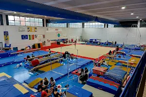 Gymnastics Association Livornese image