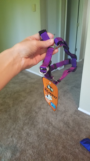 Pet Supply Store «Sellwood Pet Supply», reviews and photos, 8334 SE 17th Ave, Portland, OR 97202, USA