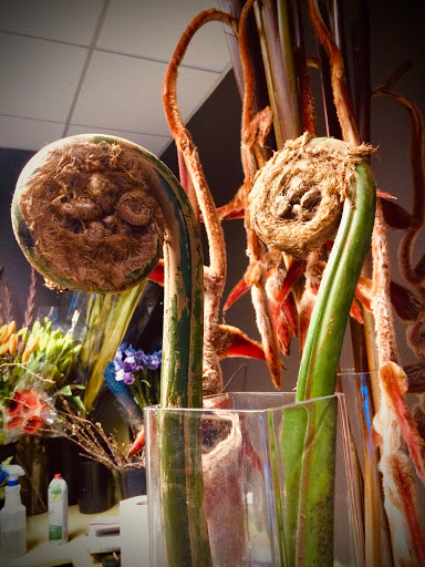 Florist «City Bloom, Inc», reviews and photos, 1300 Clay St #162b, Oakland, CA 94612, USA