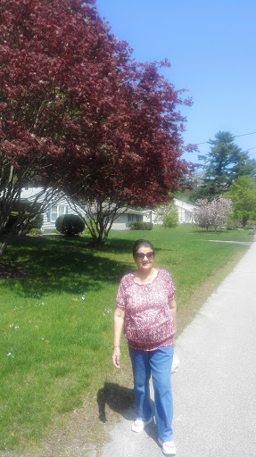 Park «Russell Mill Pond and Town Forest», reviews and photos, 105 Mill Rd, Chelmsford, MA 01824, USA