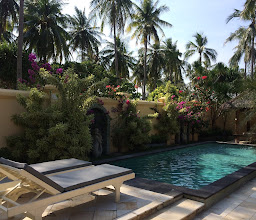 Kura Kura Resort photo