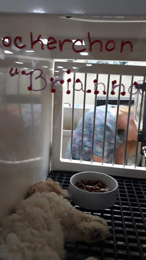 Shopping Mall «Hampton Plaza Shopping Center», reviews and photos, 4033 W Mercury Blvd, Hampton, VA 23666, USA