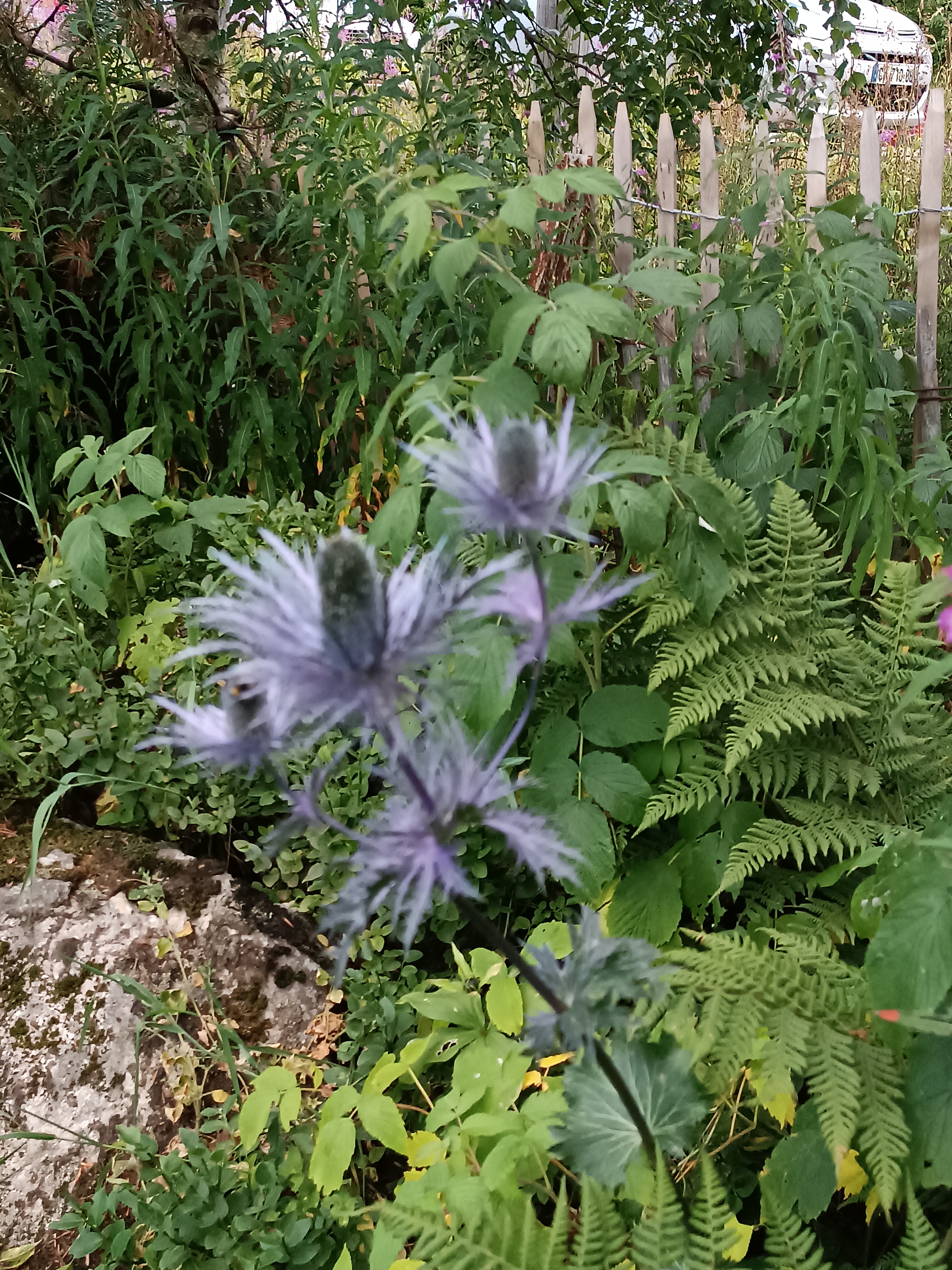 Photo n° 4 de l'avis de Luc.c fait le 03/08/2022 à 20:28