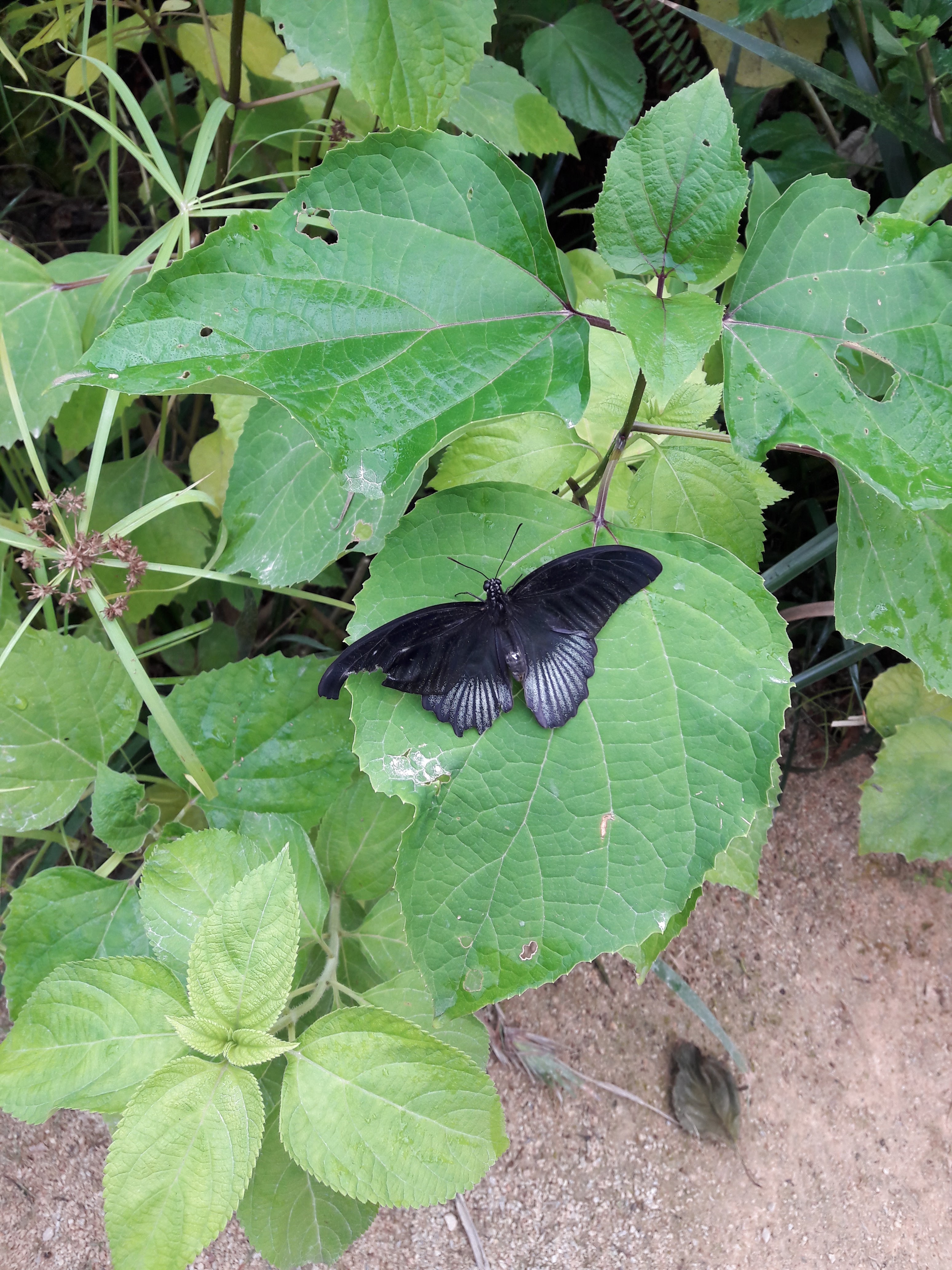 Photo n° 3 de l'avis de Emeric.r fait le 01/08/2017 à 10:26