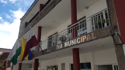 Alcaldia Municipal