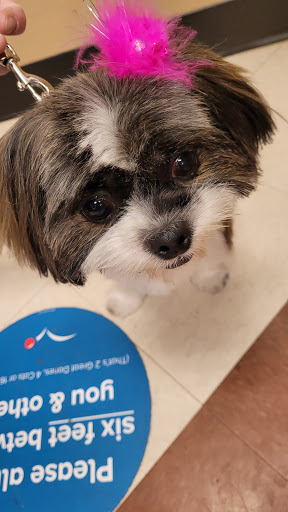 Pet Supply Store «PetSmart», reviews and photos, 430 NW Eastman Pkwy, Gresham, OR 97030, USA