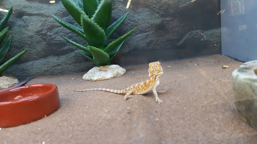 Pet Supply Store «Petco Animal Supplies», reviews and photos, 710 W 66th St, Richfield, MN 55423, USA