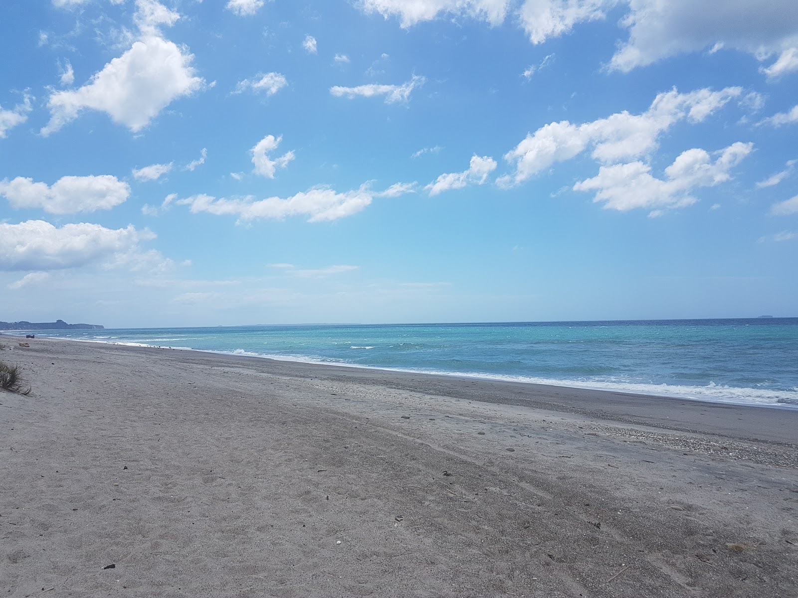 Poutuia Beach'in fotoğrafı - tatil için iyi evcil hayvan dostu nokta