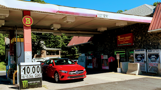 Binny Mart, 4481 Mauch Chunk Rd # 3, Coplay, PA 18037, USA, 
