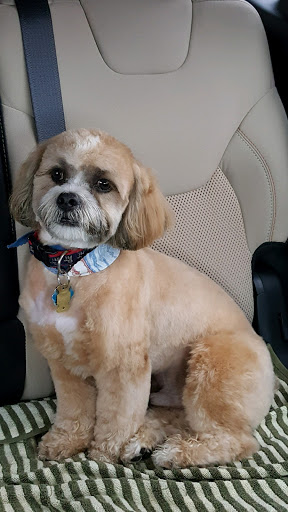 Pet Store «Animal Kingdom», reviews and photos, 436 Main St, East Orange, NJ 07018, USA