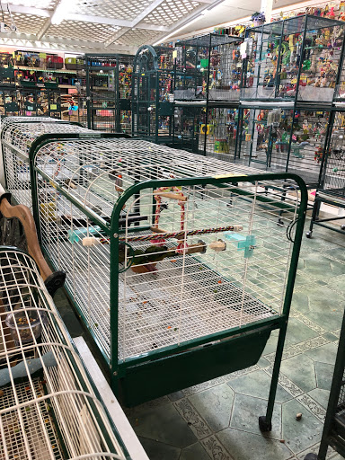 Pet Store «Discount Pet & Supplies», reviews and photos, 16320 Middlebelt Rd, Livonia, MI 48154, USA