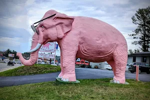 Ellie the Pink Elephant image