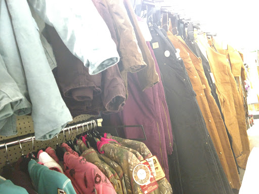 Home Improvement Store «Tractor Supply Co.», reviews and photos, 3355 Guthrie Hwy, Clarksville, TN 37040, USA