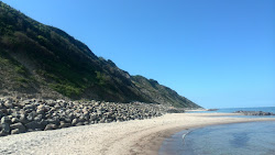 Photo de Vejby Beach situé dans une zone naturelle