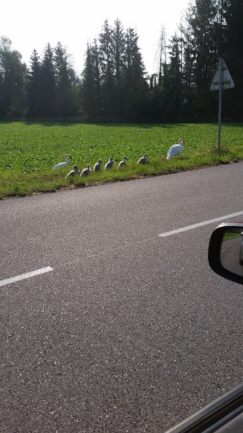 Wuhr Wolfgang à Beinheim