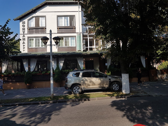 Montana - Curtea de Argeș