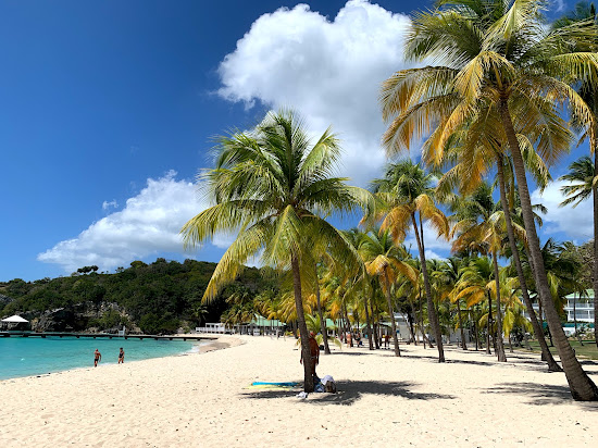 The Beach of Caravelle
