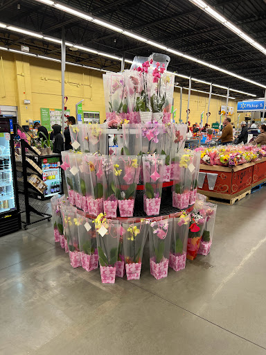 Supermarket «Walmart Neighborhood Market», reviews and photos, 10327 Big Bend Rd, Riverview, FL 33578, USA