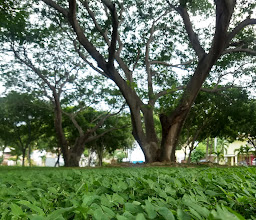 Las Ardillas Park photo