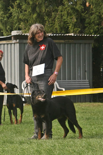 Kynologischer Verein Kreuzlingen und Umgebung - Hundeschule