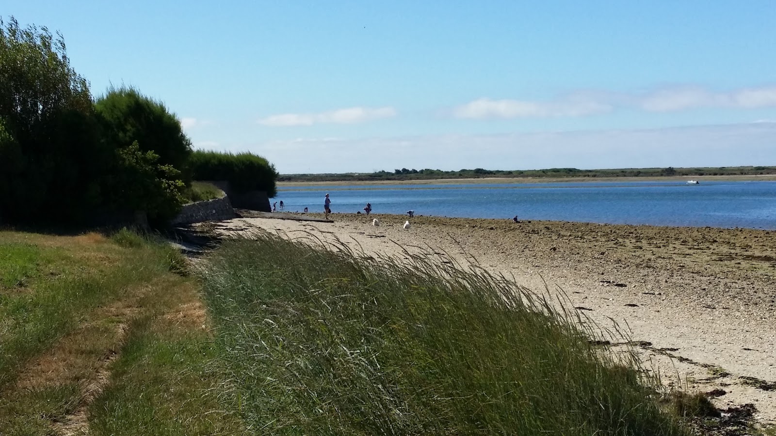 Plage de Riantec'in fotoğrafı ve yerleşim