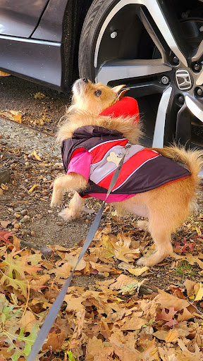 Pet Store «Cross Bronx Pet Shop», reviews and photos, 2064 Cross Bronx Expy, Bronx, NY 10472, USA