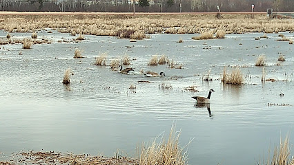 Brookfield Wetlands