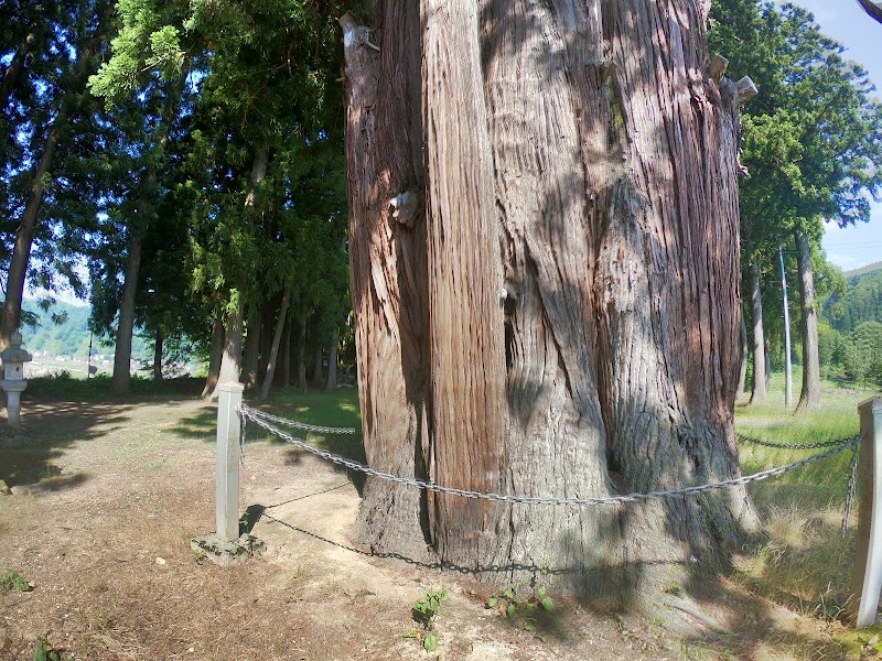 外丸矢放神社の八本杉
