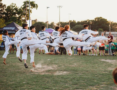 Tigers Martial Arts Group