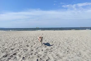 Beach for Dogs in Brzeźno image