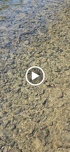 Park «Patapsco State Park», reviews and photos, 1101 Hilton Ave, Catonsville, MD 21228, USA