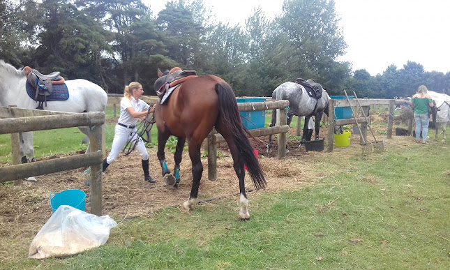 Woodhill Sands Equestrian Events Centre - Helensville