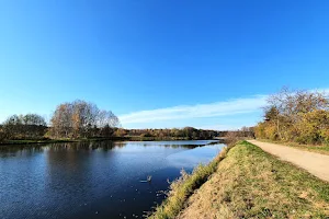 Park pałacowy image