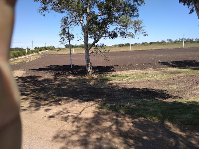 Centro Desarrollo Juvenil,Liga Mayor de Fútbol de San José - Gimnasio