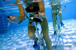 Aquatic Performance Training image