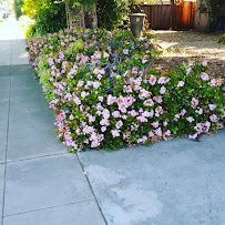 Shell - Photo 8 - Car repair in Mountain View, CA, Fremont