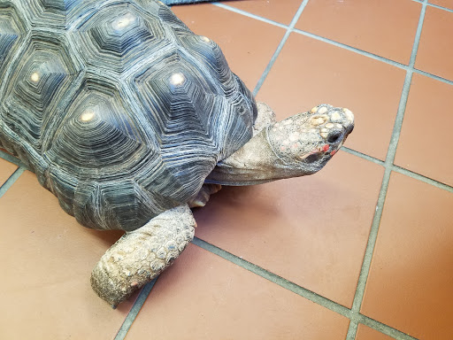 Learning Center «Imagine Nation Museum Early Learning Center», reviews and photos, 1 Pleasant St, Bristol, CT 06010, USA