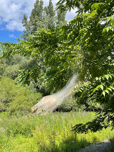 Nature Preserve «Cleveland Lakefront Nature Preserve», reviews and photos, 8701 Lakeshore Blvd, Cleveland, OH 44108, USA