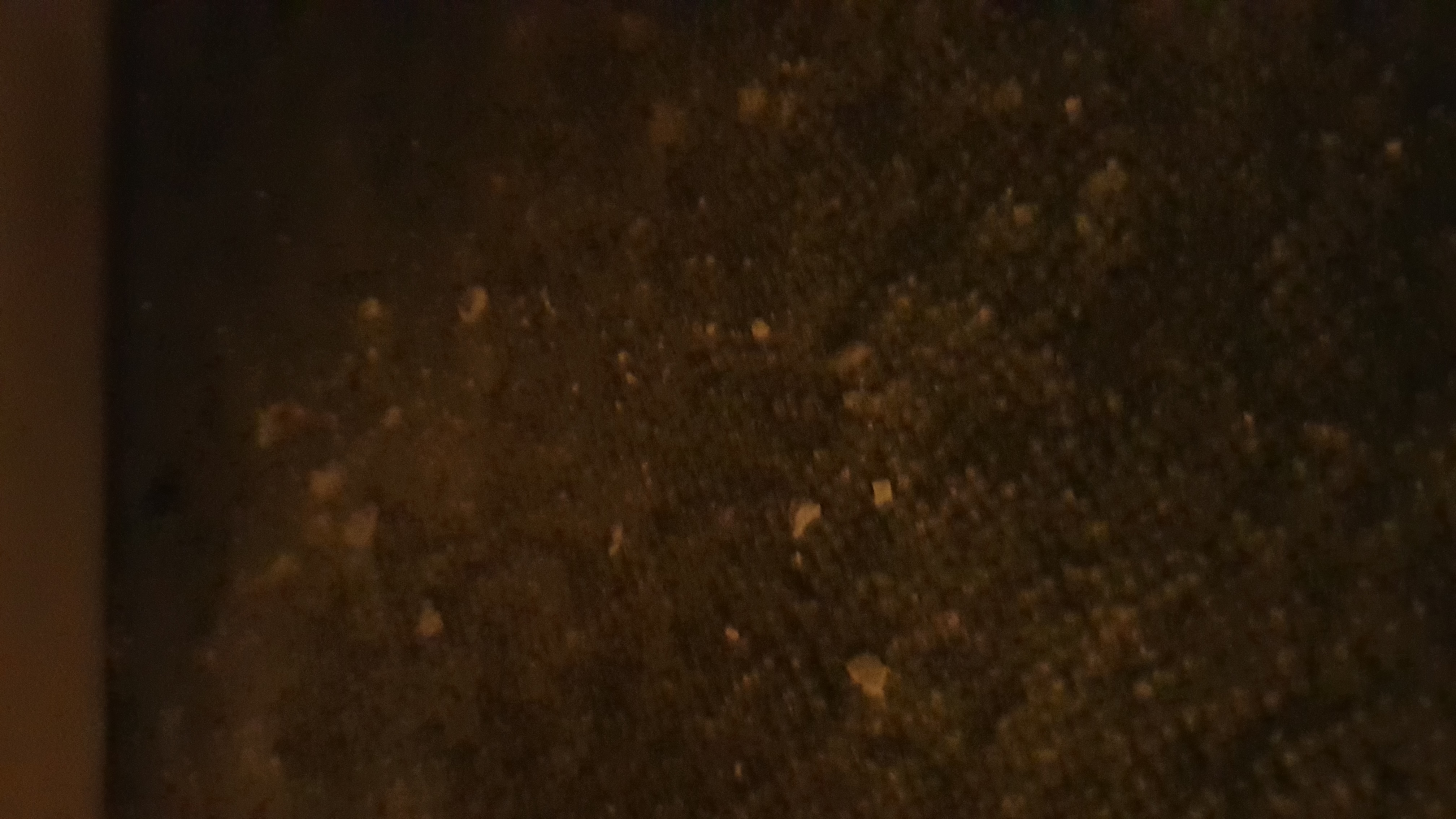 Photo n° 7 de l'avis de Marine. fait le 05/10/2019 à 11:37