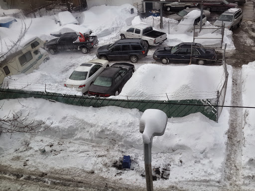 Park «Joe Moakley Park», reviews and photos, 1005 Columbia Road, Boston, MA 02127, USA