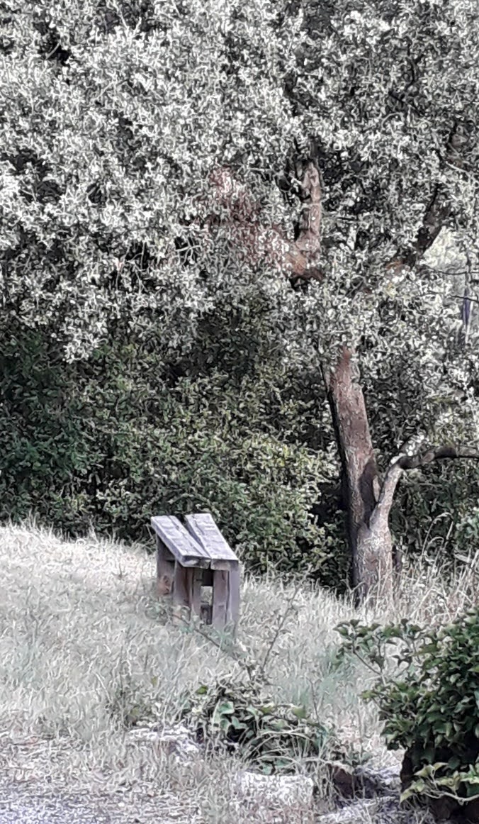 Photo n° 4 de l'avis de Cyril.A fait le 02/08/2020 à 13:00