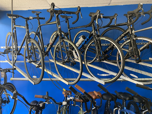 Bicycle Store «Hillsboro Bicycle Center», reviews and photos, 3330 W Hillsboro Blvd, Deerfield Beach, FL 33442, USA