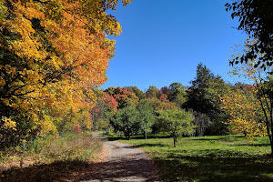 Morgan Arboretum