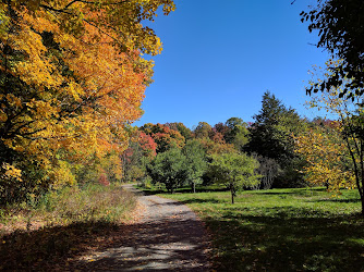 Morgan Arboretum