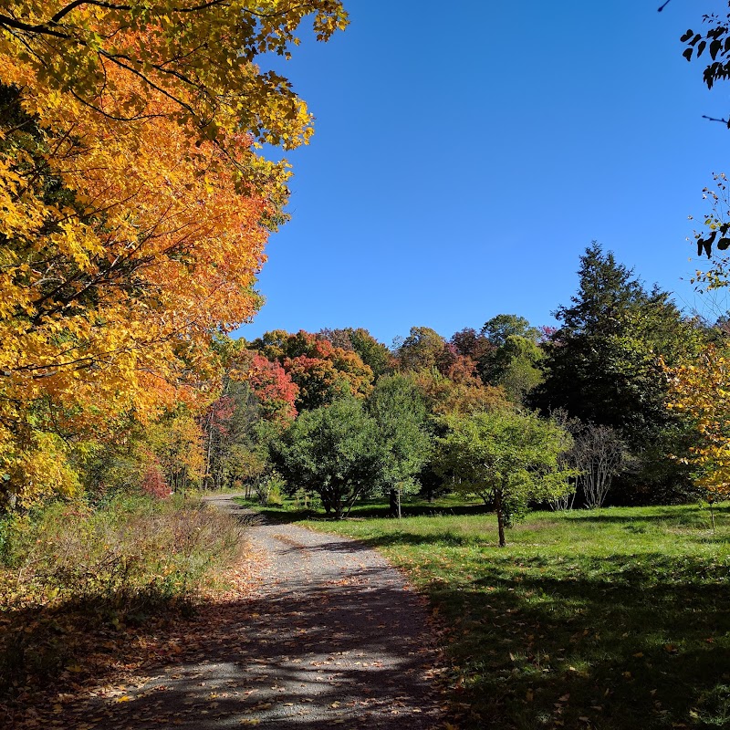 Morgan Arboretum