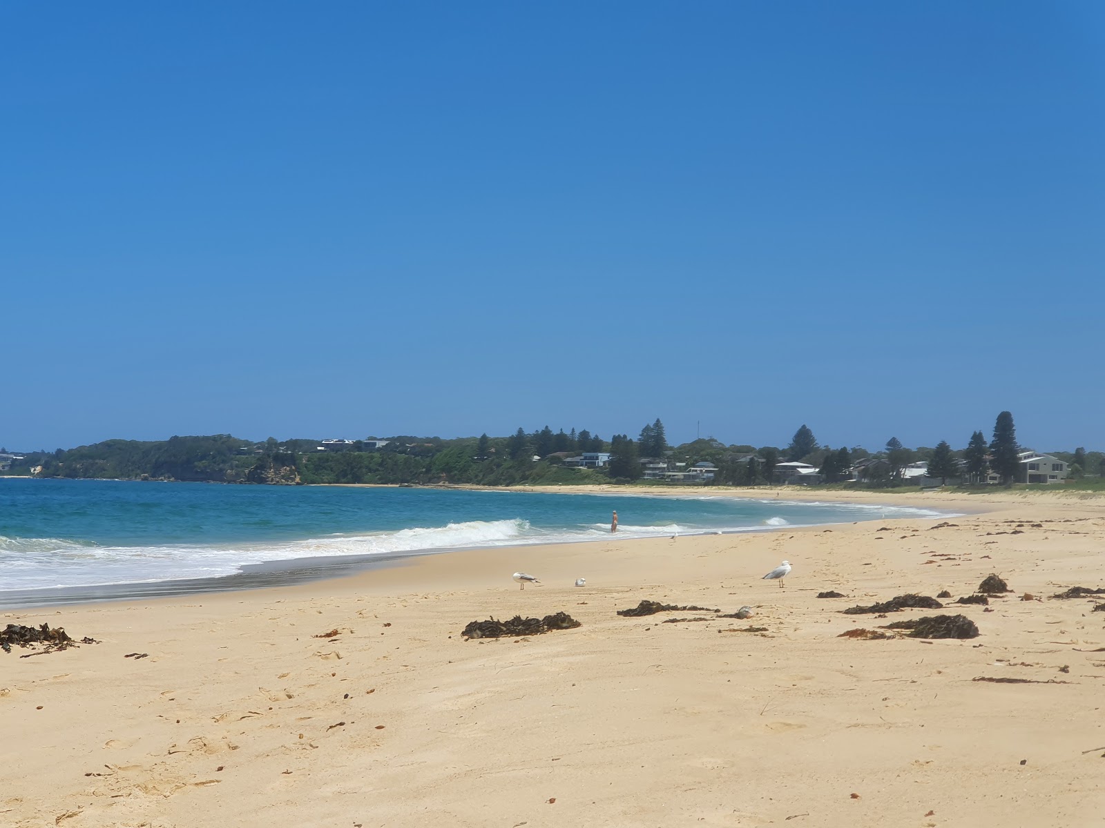 Photo of Hargraves Beach with long straight shore