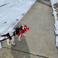PCSITTING LLC - Photo 2 - Car repair in Longmont, CO, Boulder