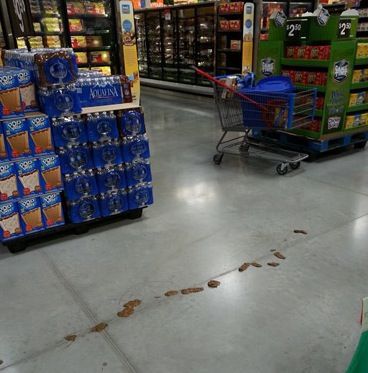 Department Store «Walmart Supercenter», reviews and photos, 6365 Stagecoach Dr, West Des Moines, IA 50266, USA