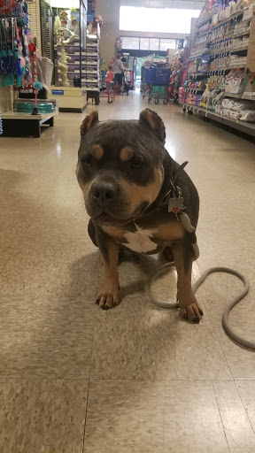 Pet Supply Store «PetSmart», reviews and photos, 1621 E Monte Vista Ave b, Vacaville, CA 95688, USA